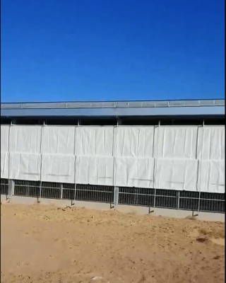 91香蕉国产在线看观看软件卷帘