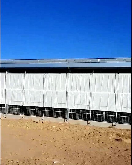 91香蕉国产在线看观看软件卷帘